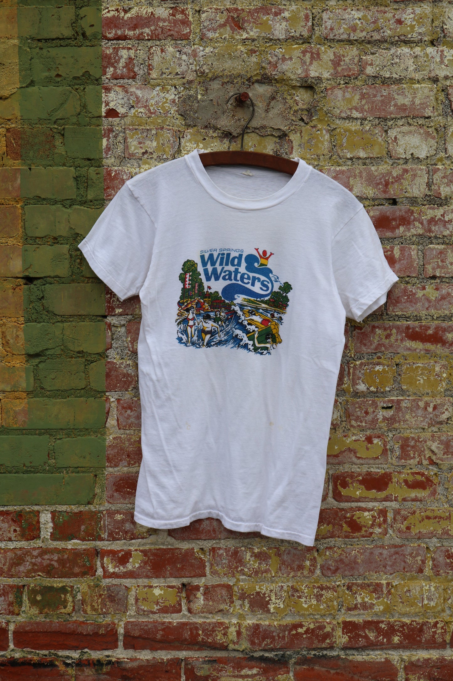 1970s Wild Waters Graphic tee (S)